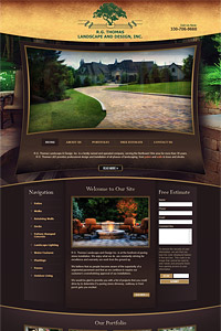 Our Stunning Website Designs