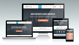 Website Design & Development