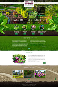 Website Samples